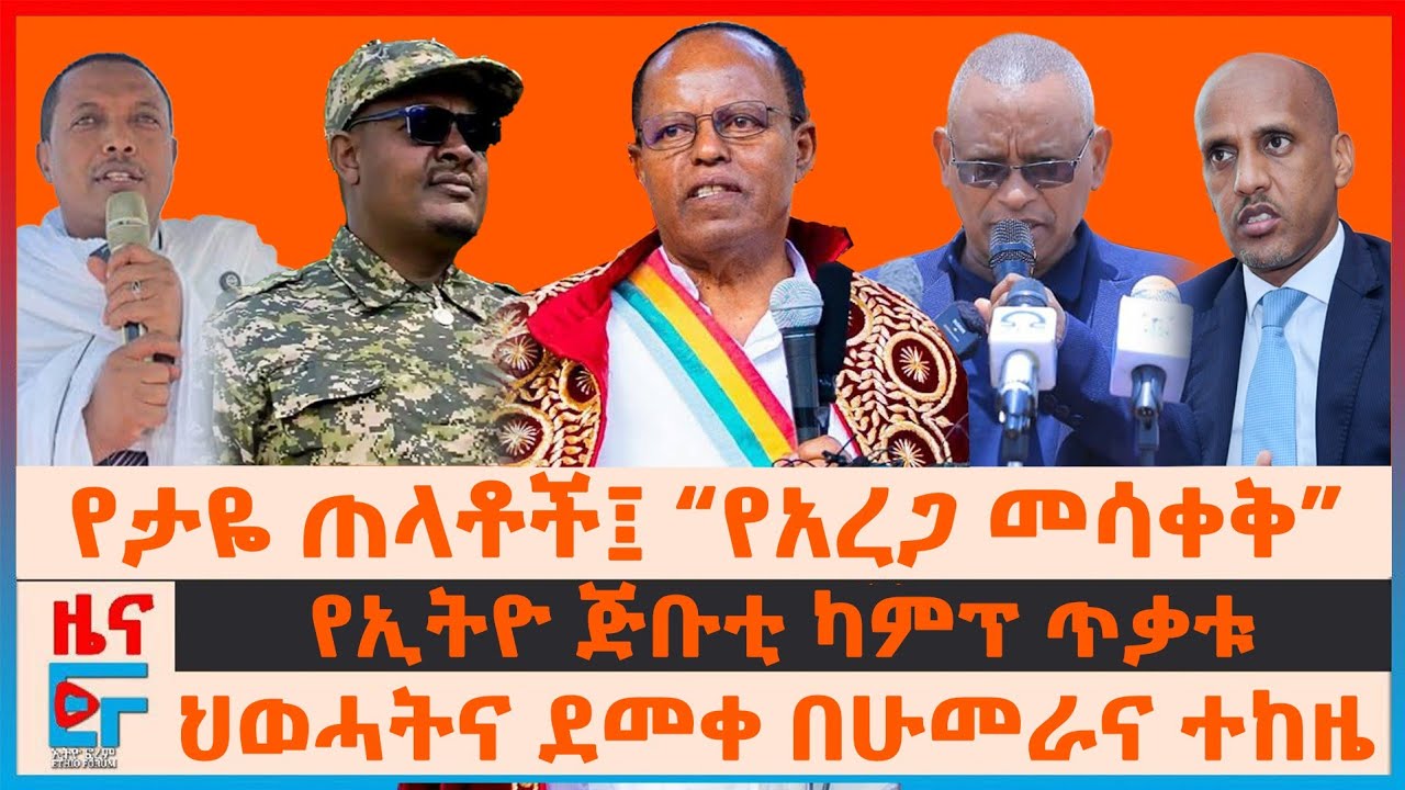 የታዬ ጠላቶችና “የአረጋ መሳቀቅ”፣ 