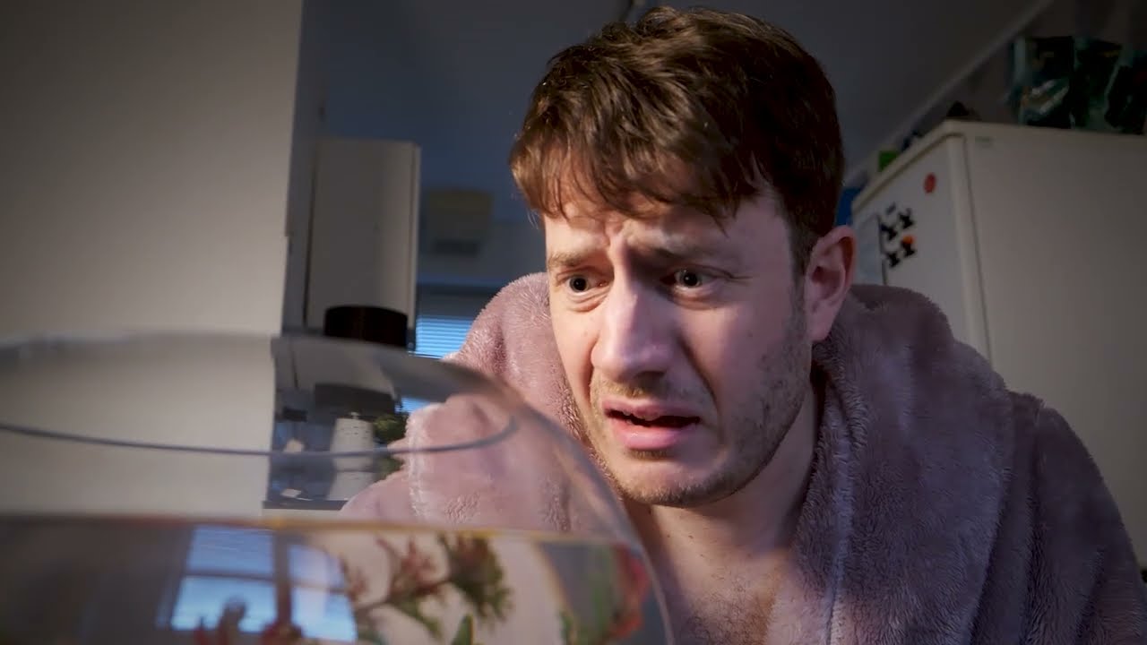 Fishy Friday Trailer