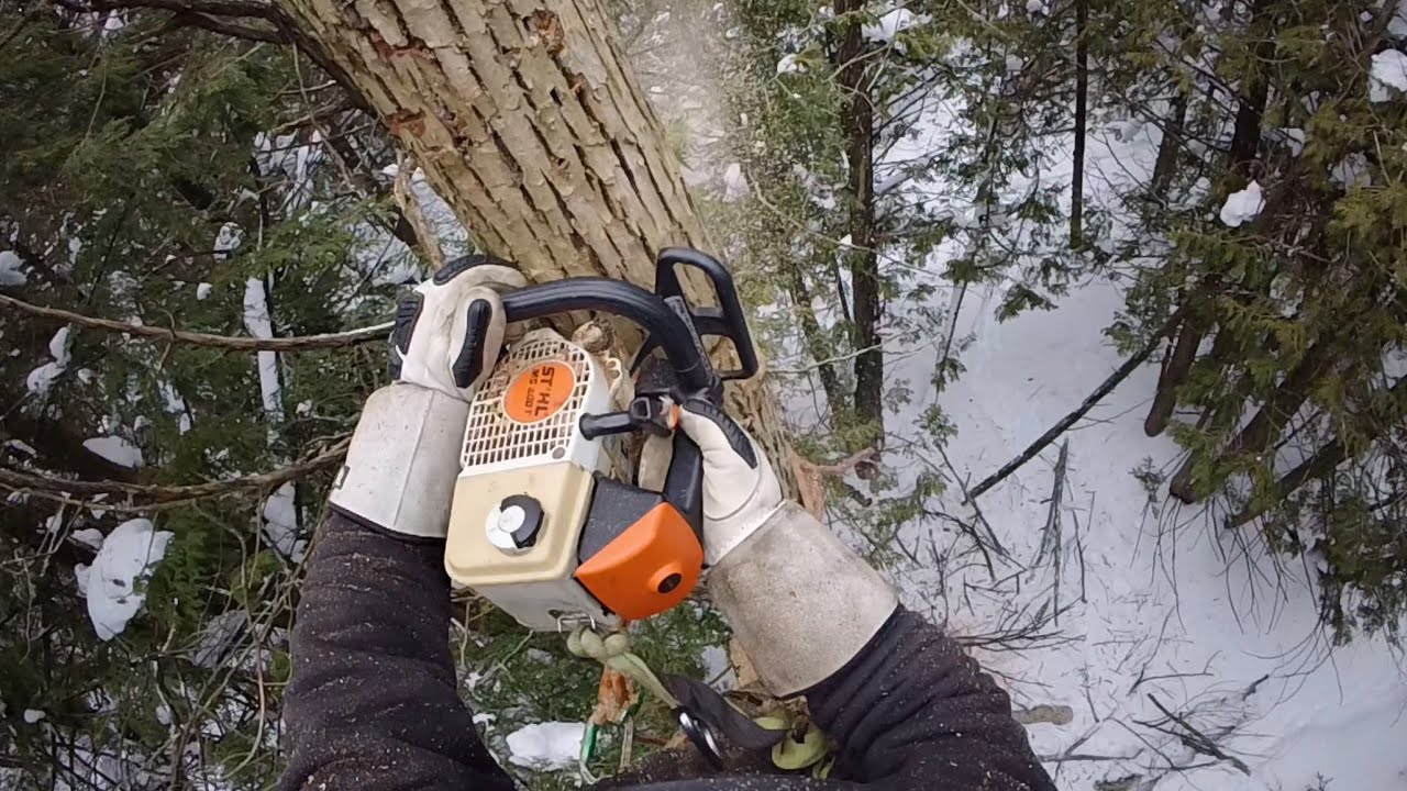 SOLO TREE CLIMB: FIREWOOD THE HARD WAY 