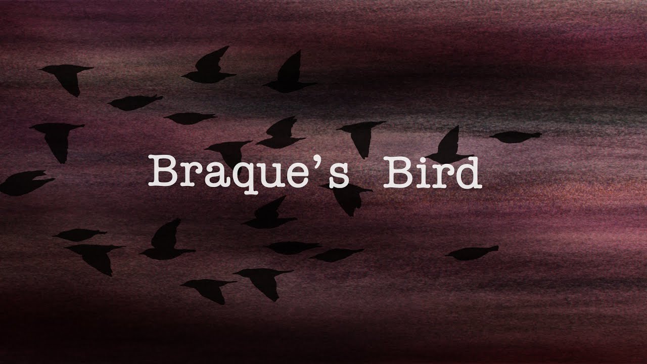 Luminous Orange - Braque' s Bird