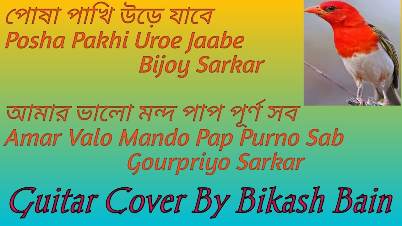 Amar Valo Mando Pap Purno Sab //Posha Pakhi Uroe Jaabe //Guitar Cover By Bikash