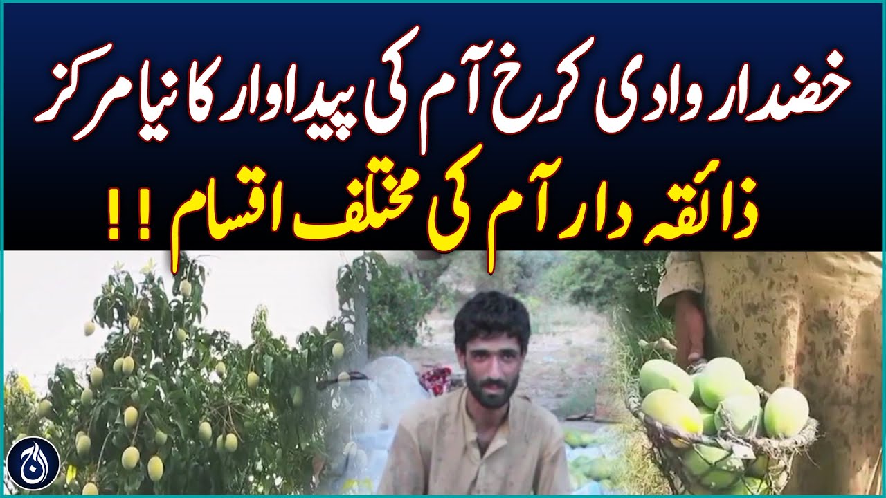 Khuzdar Valley Emerges As New Mango Hub - Pakistan  News