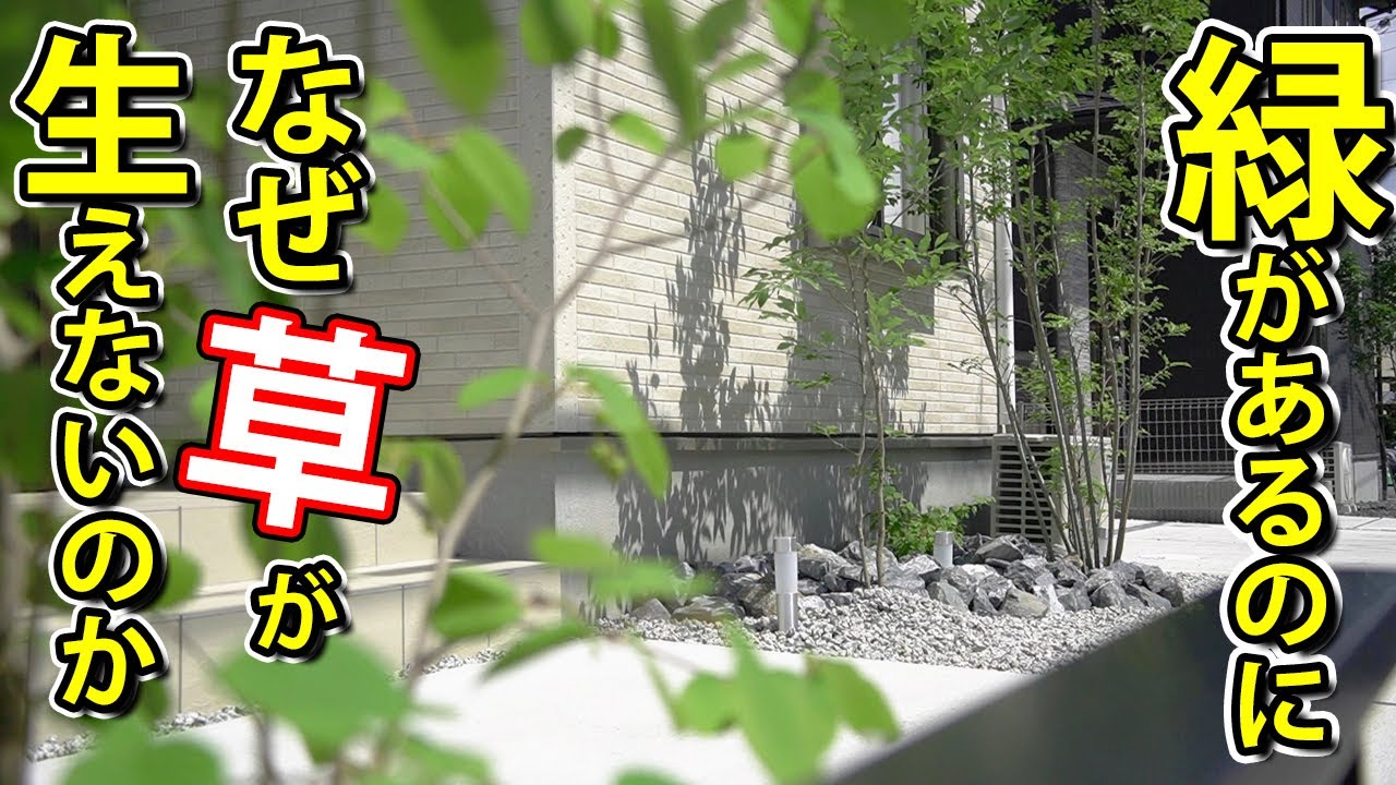 植木があっても草が生えないお庭を造ると、こんなに楽で素敵なお庭になります【奈良公園の鹿が庭先まで入ってくるお庭＃最終話】