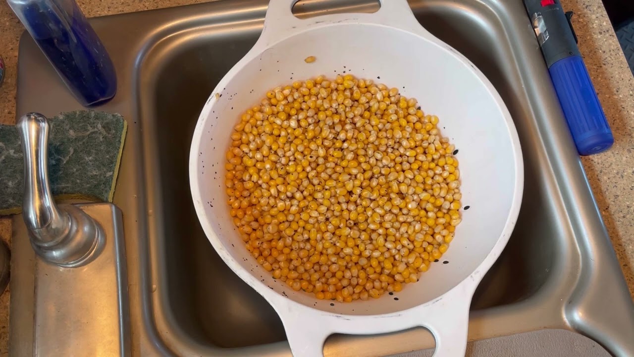 Mushroom Popcorn tek
