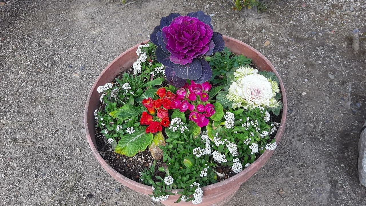 中村公園駅をお散歩　歴史を感じる公園　豊国神社　豊臣秀吉ゆかりの地　名古屋