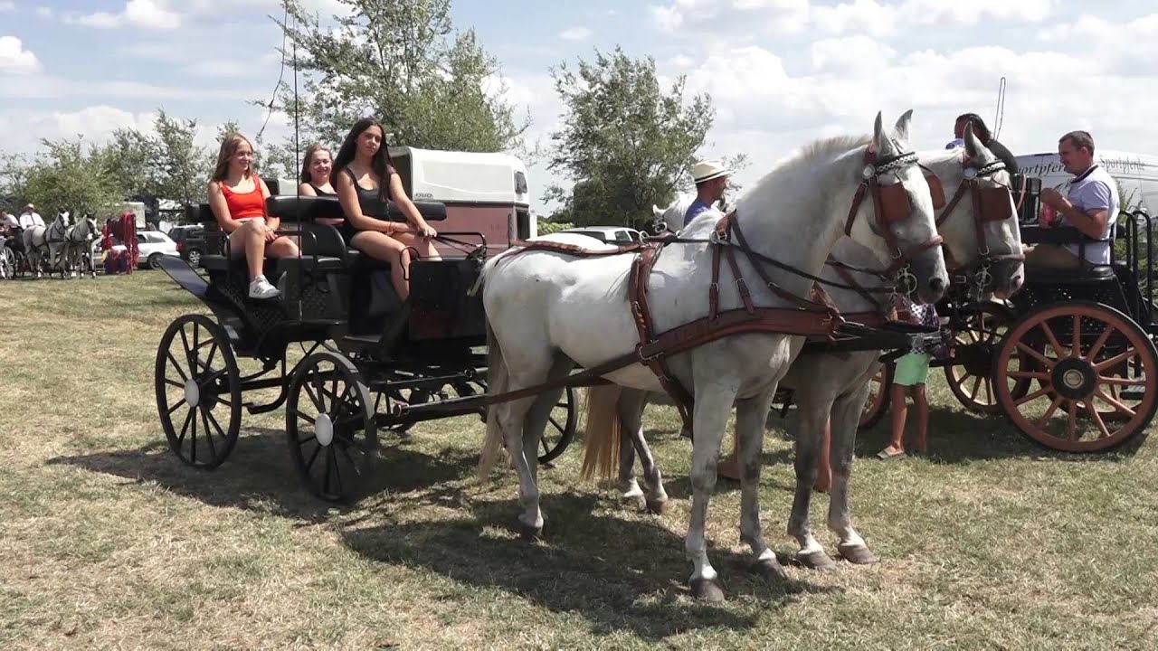 Vojačka fijakerijada   tradicionalno okupljanje ljubitelja konja