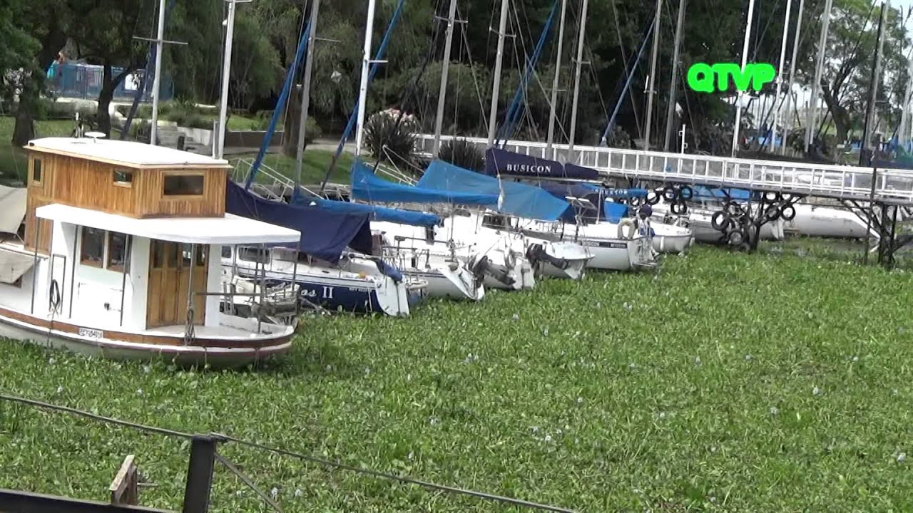 INVASI&Oacute;N DE CAMALOTES Y SERPIENTES  EN  EL CLUB NAUTICO QUILMES
