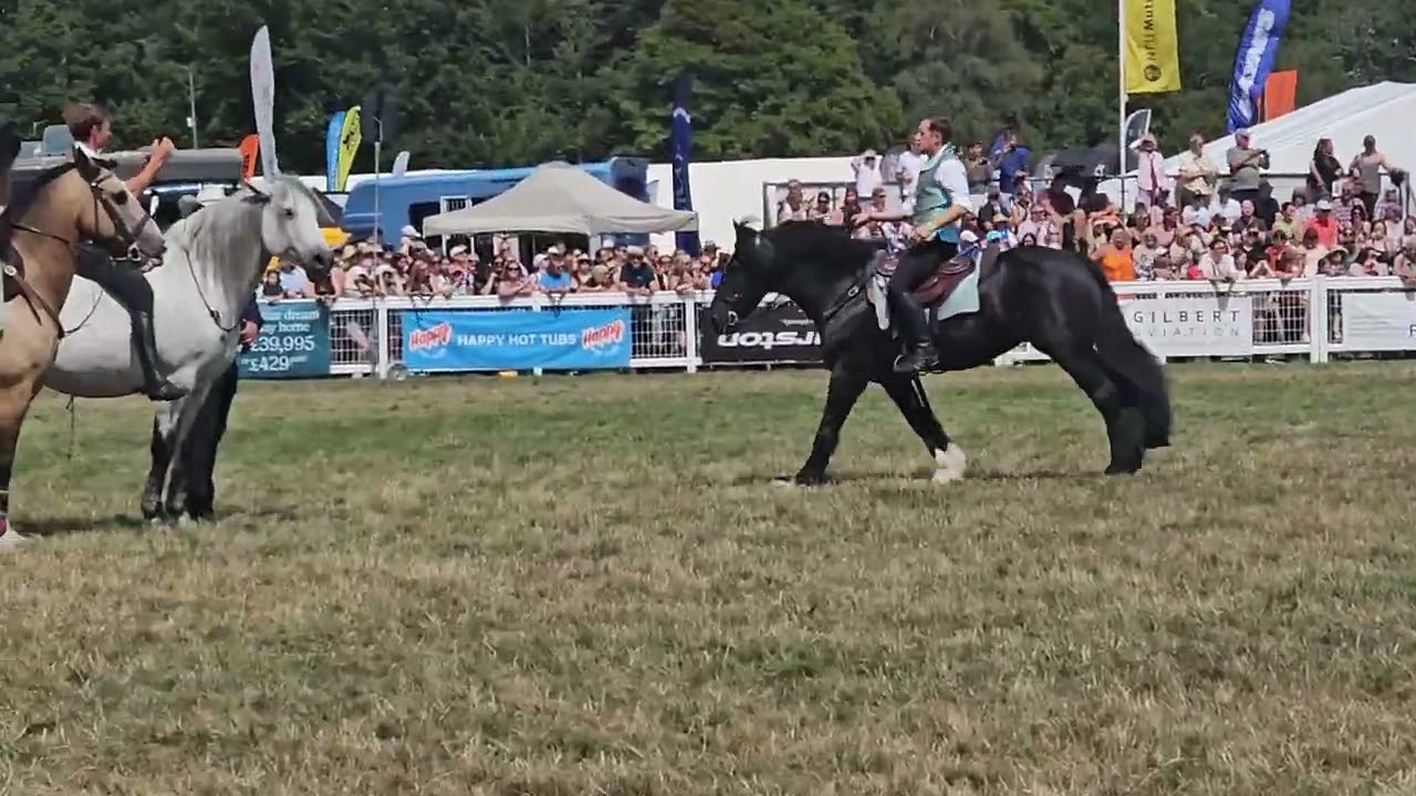 Atkinson Action Horses. New Forest Show 2025 Amazing!