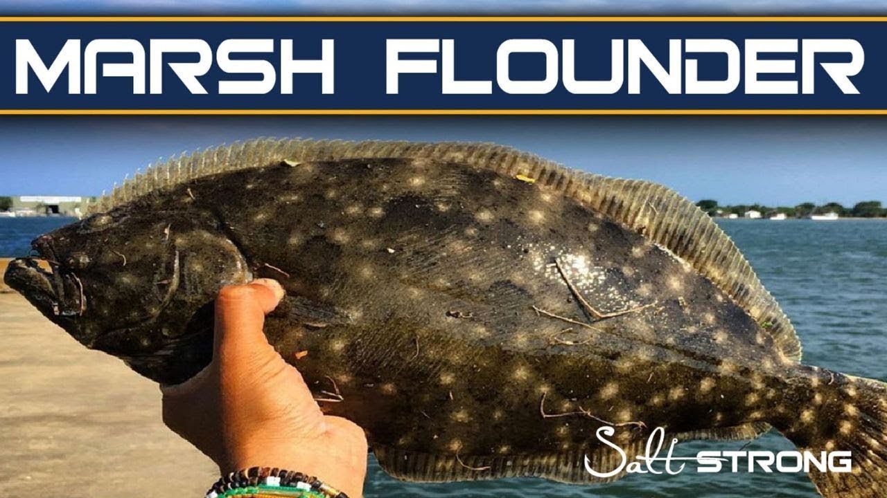 How To Catch More Flounder In The Marshes [Clues, Tricks, & MORE]