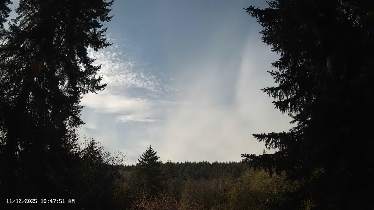 November 12, 2025 - Pacific Northwest Skyscape (Full 4k, 60fps)