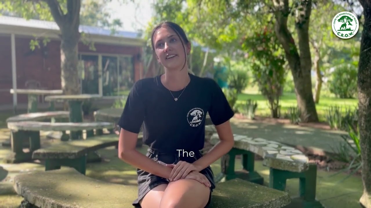 Meet Our International Vet Students!