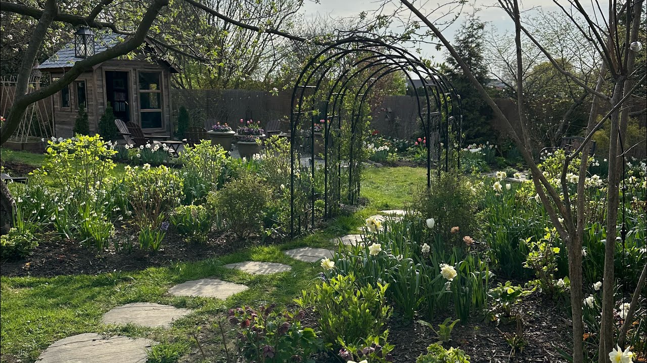 Peaceful Spring Garden Walk / Fancy Daffodils, Early Tulips, Hyacinths, Spring Bouquets & Pots