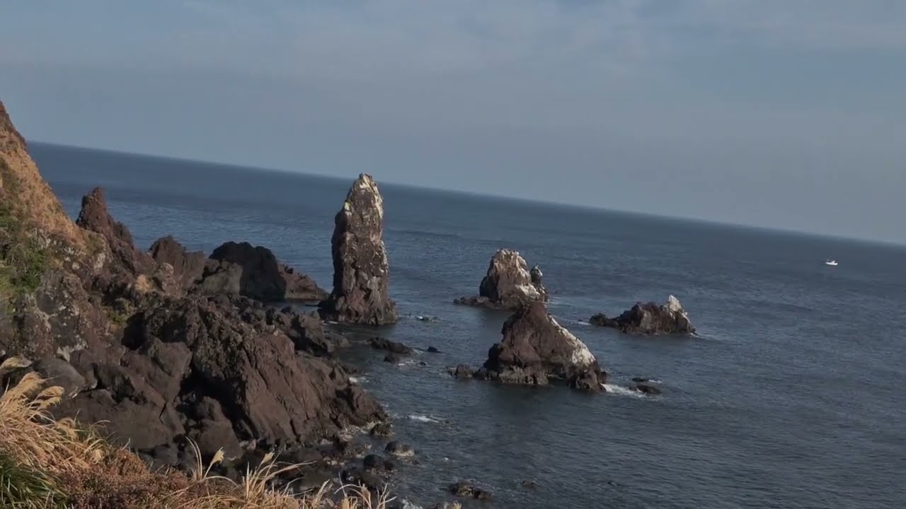 2월 제주도 투어