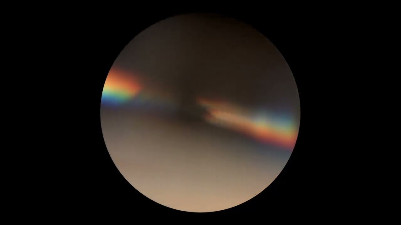 Elastic - Satoshi Iwashita