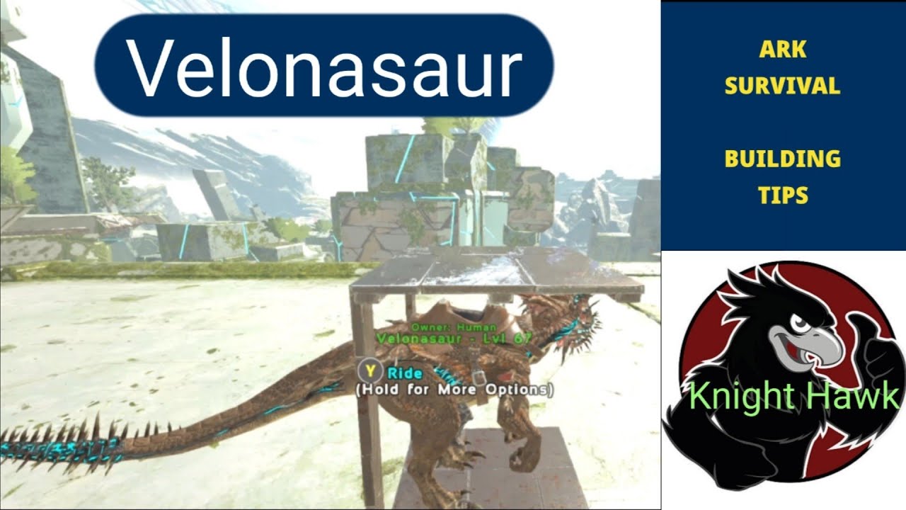 How to protect a Velonasaur