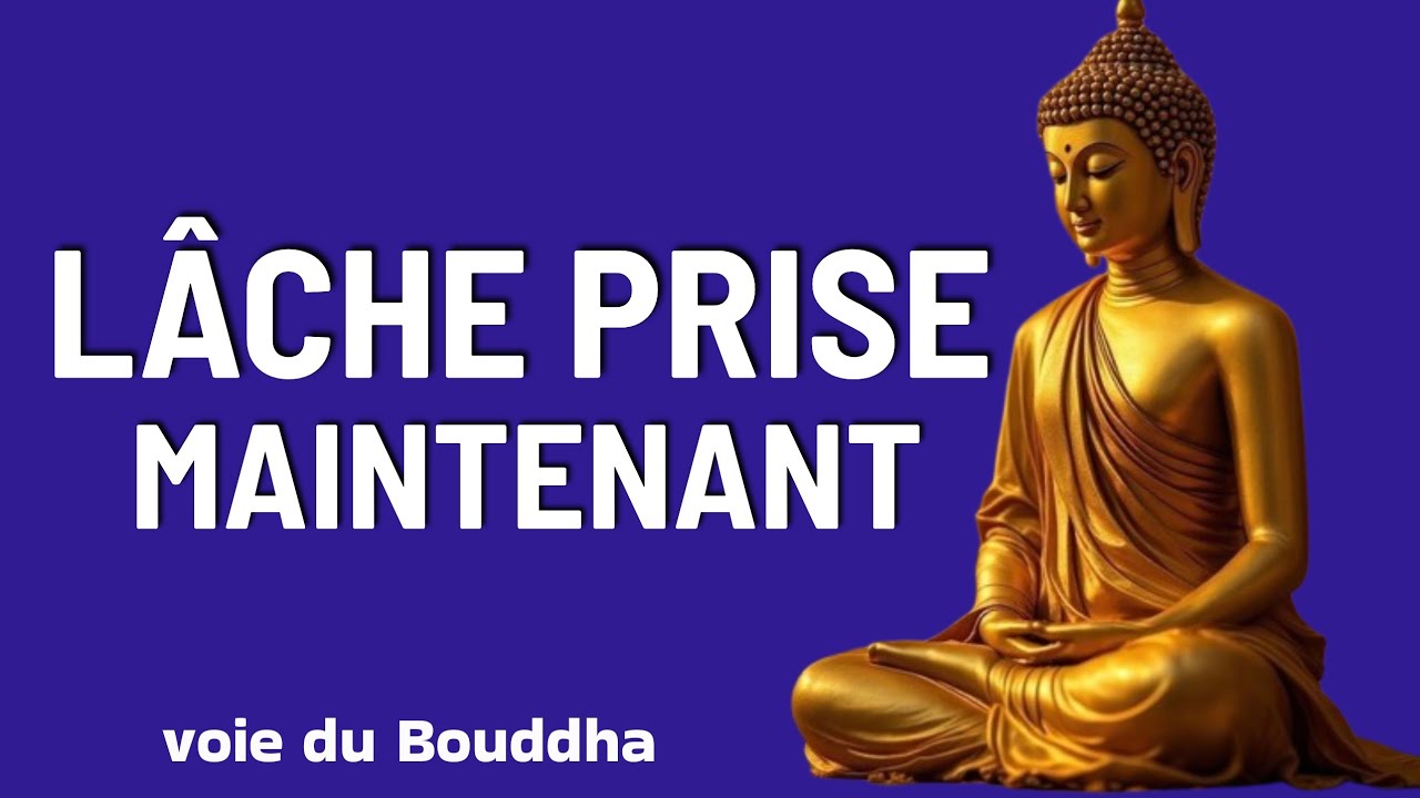 Transforme Ta Vie Avec 7 Paroles Bouddhistes Quotidiennes