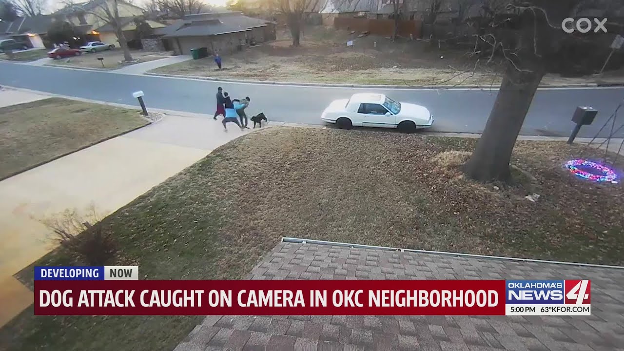 Dog attack caught on camera in OKC neighborhood
