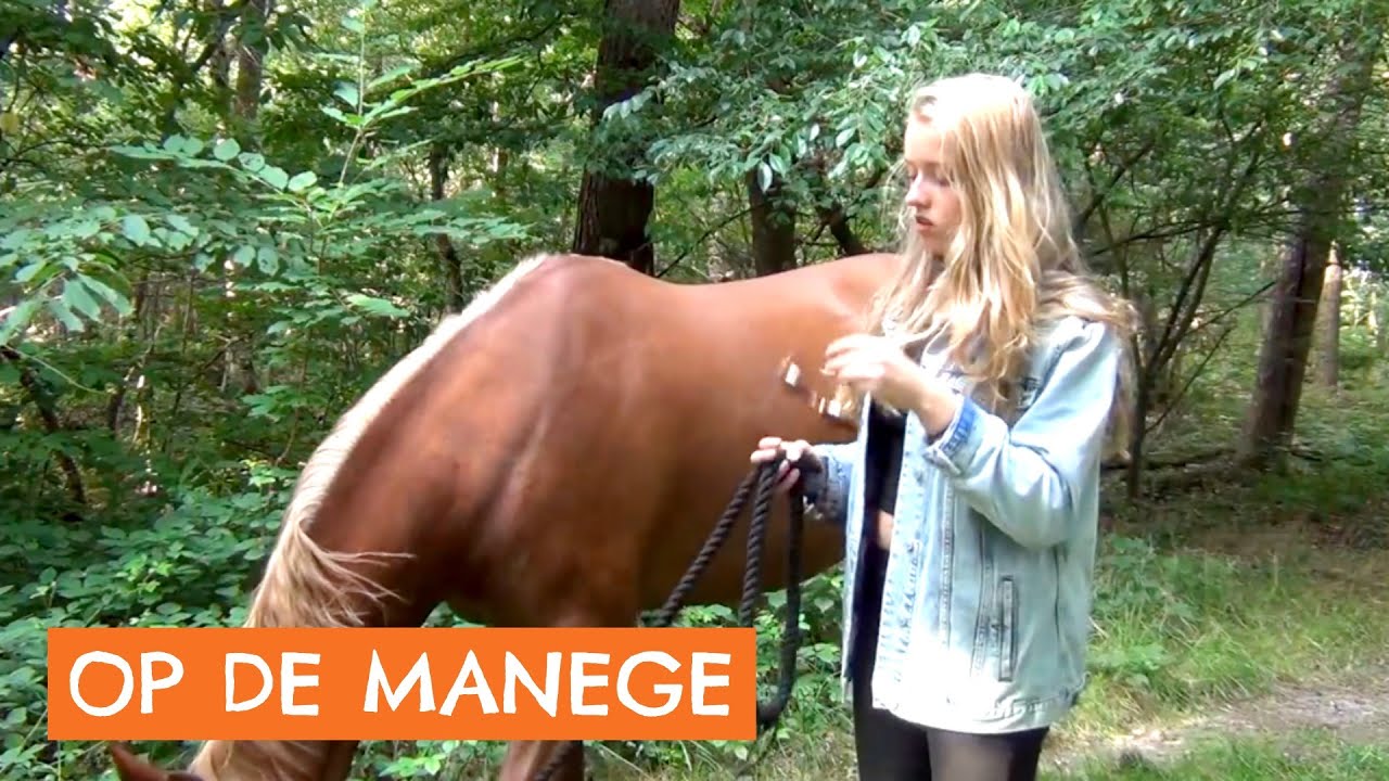 Een dagje op de manege | Vlog #2