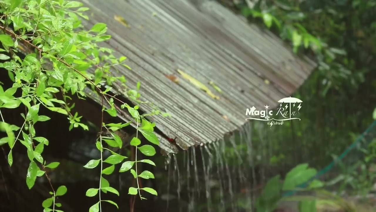 เสียงฝนตกบนหลังคาสังกะสี 5 ชม | หลับลึก ผ่อนคลาย ไม่มีโฆษณา | Tin Roof Rain Sounds for Deep Sleep