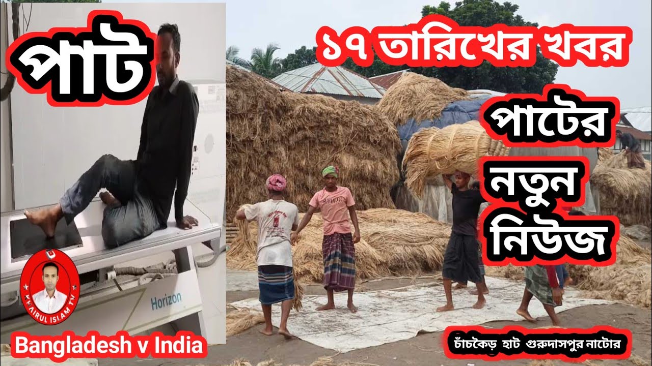 আজকের পাটের দাম ও খবর ১৭ তারিখ | ১৮-০২-২০২৬ চাঁচকৈড় বাজার গুরুদাসপুর নাটোর |Latest Jute Price Update