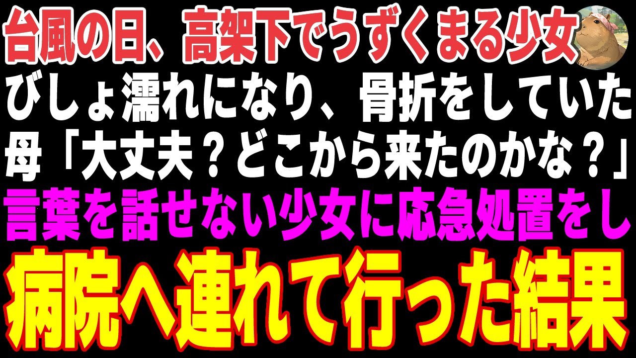 【感動する話】台風直撃の日、高架下でびしょ濡れになり、怪我をしていた少女→看護師の母が応急処置をし病院へ連れて行った結果【朗読・スカッと】