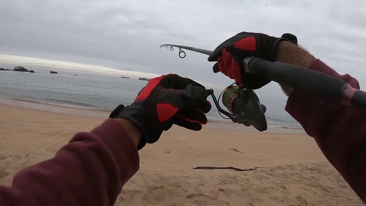 PESCA de CORVINA Y LENGUADO, VIÑA DEL MAR