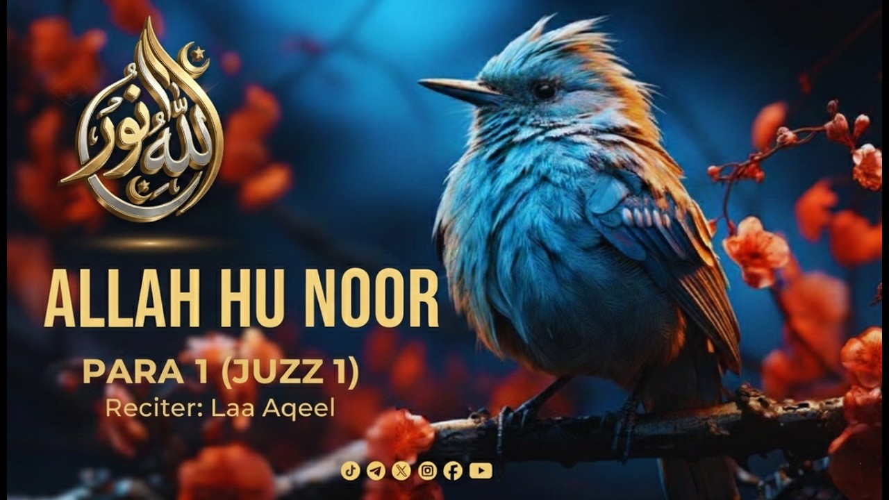 Para 1 (Juz 1) | Peaceful Quran to Calm Your Heart & Mind | Aalaa Aqeel