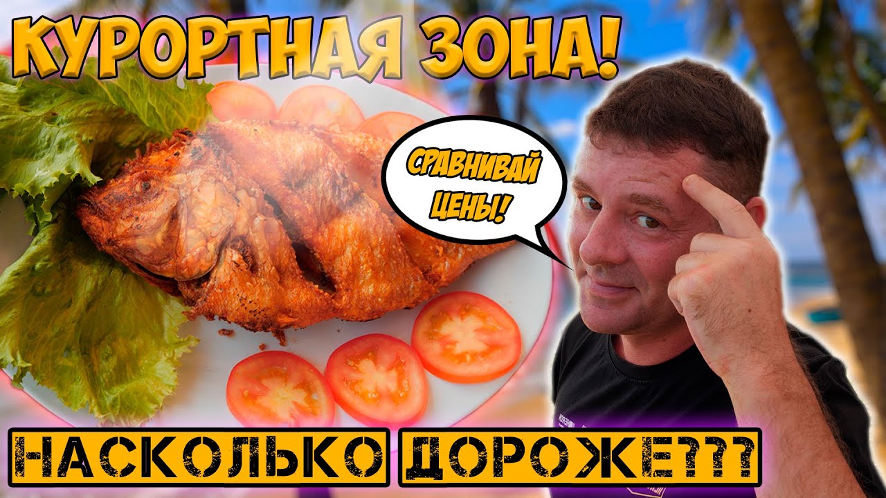 Курортная зона того стоит!? Quan BiBo Сравним!