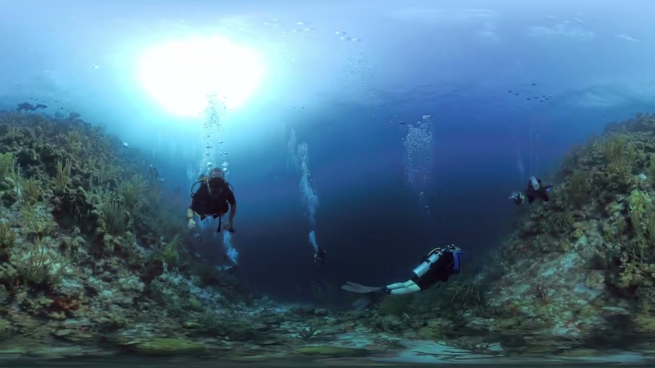 DD7 Curacao 2/22/26 Dive 1 - Newport