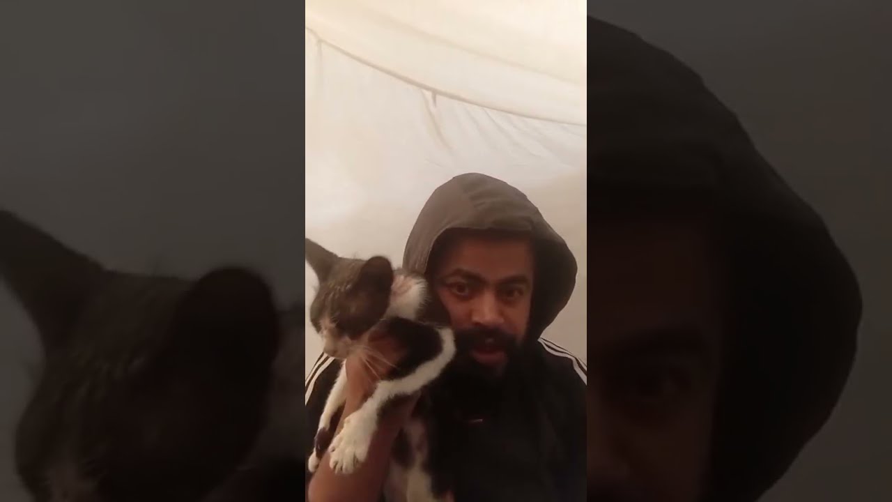 بدأت قناة 