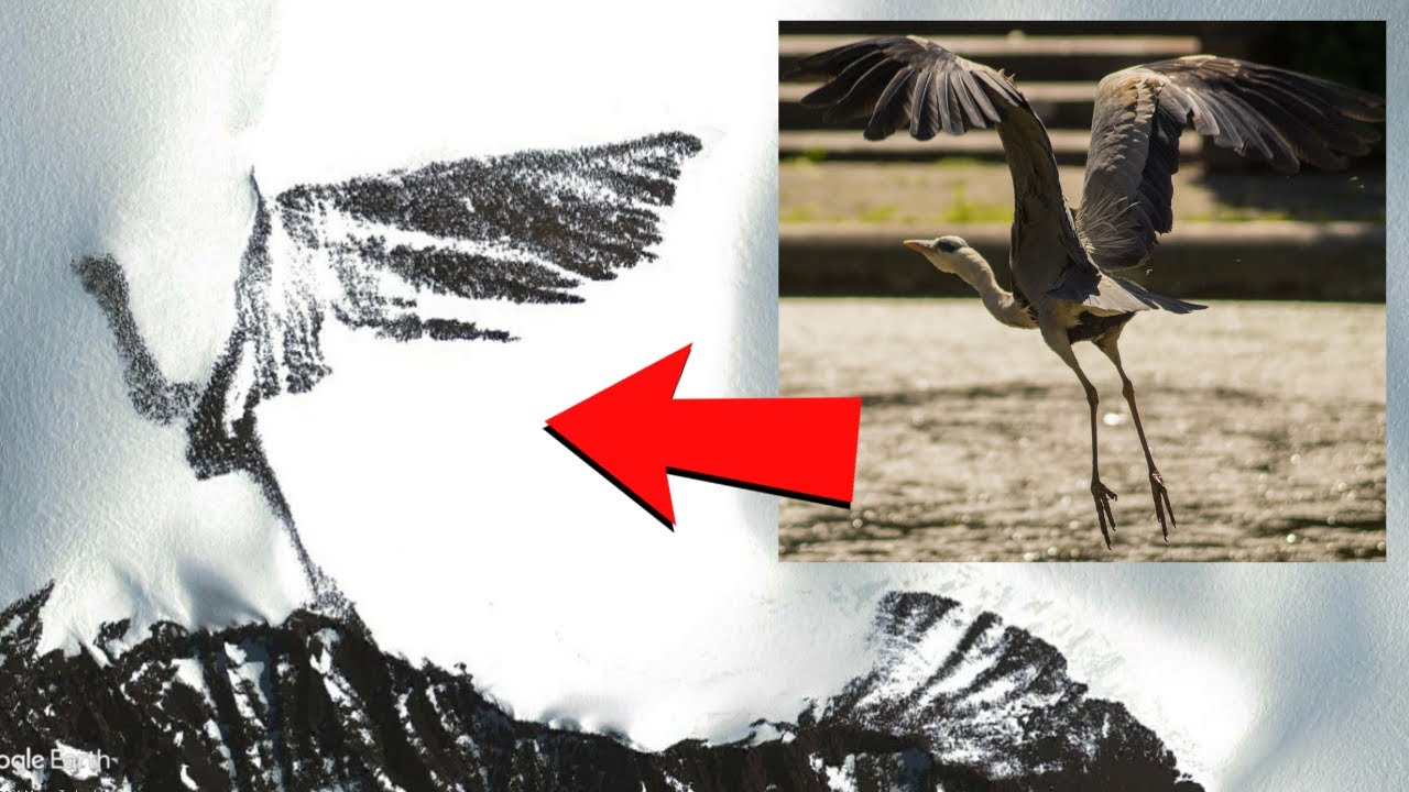 Strange Things Found in Antarctica on Google Earth