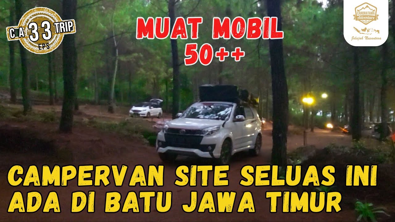MALAM HARI BERCAMPERVAN DI HUTAN CAMPERVAN SITE BATU SELUAS INI HANYA BERATAP DAUN POHON PINUS