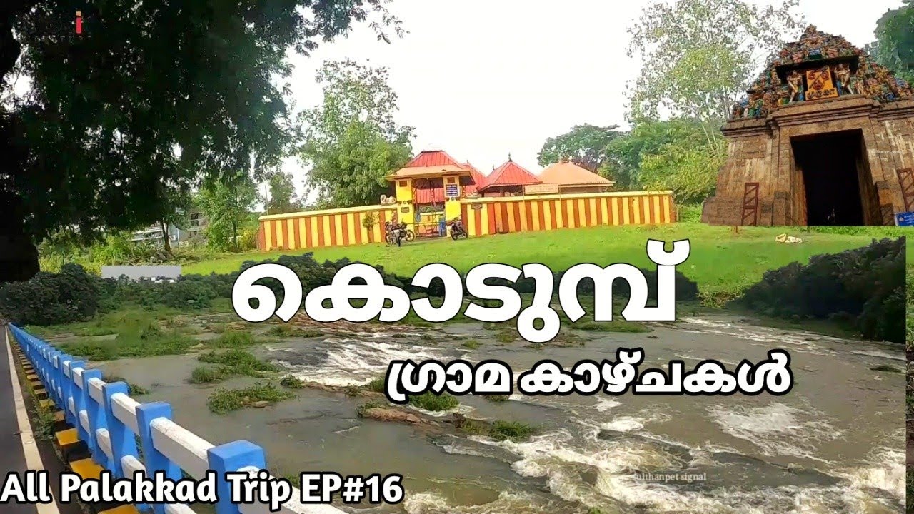 കൊടുമ്പ് ഗ്രാമ കാഴ്ചകൾ | Kodumbu Village | All Palakkad Trip EP#16