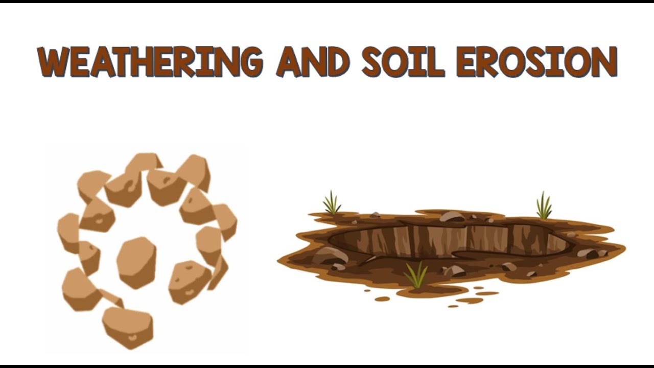 Weathering and Soil Erosion | Animation