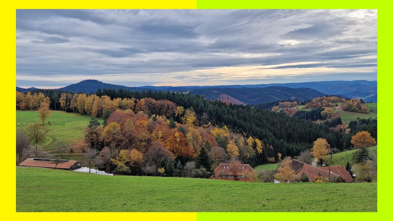 Waldreiche Wanderung ab dem Freiersberger Tor bei Bad Peterstal im Nordschwarzwald 🌲🍁🐿