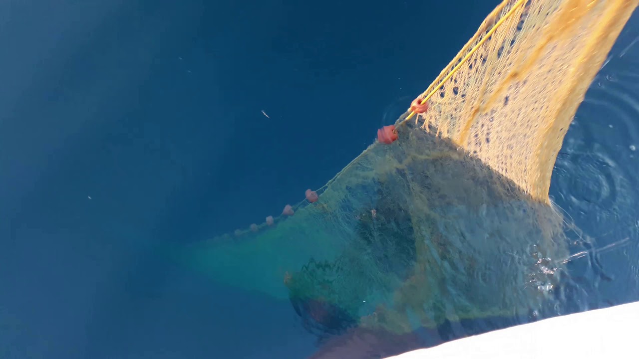 Pe barca de pescuit in Tolo Grecia