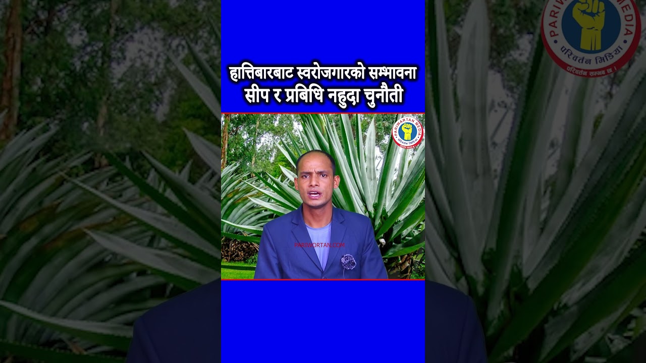 हात्तिबारबाट स्वरोजगारको सम्भावना सीप र प्रबिधि नहुदा चुनौती #pariwartanmedia