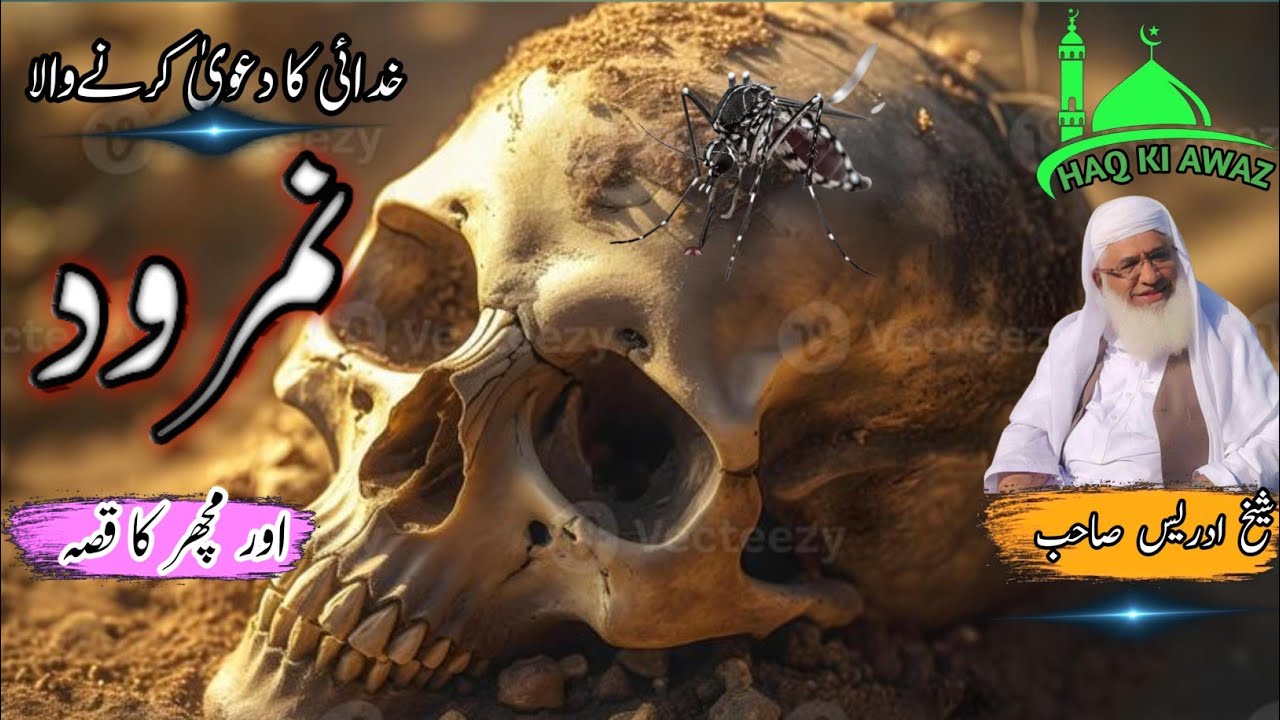 Poshto bayan/خدائی کا دعویٰ کرنے والا نمرود کا عبرتناک انجام/Sheikh Idrees sab 