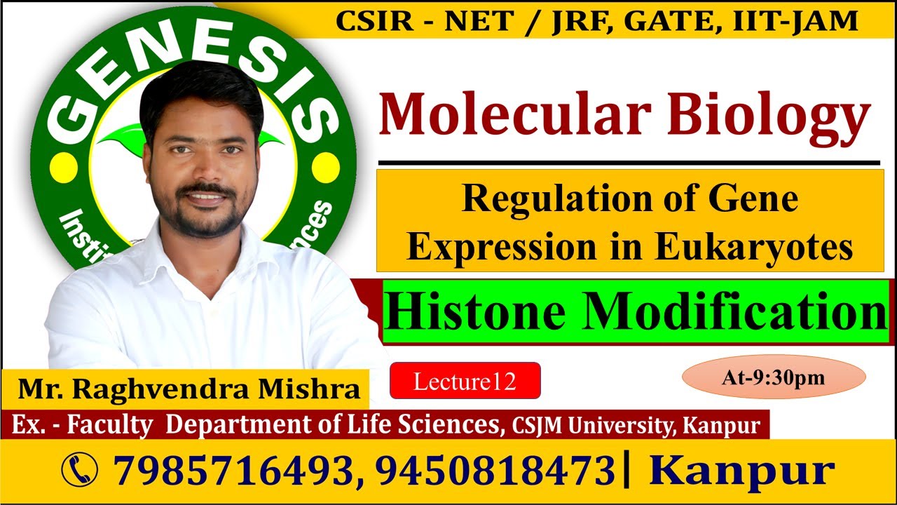 Histone Modification | Molecular Biology | Lecture-12 | CSIR NET/JRF | Life science