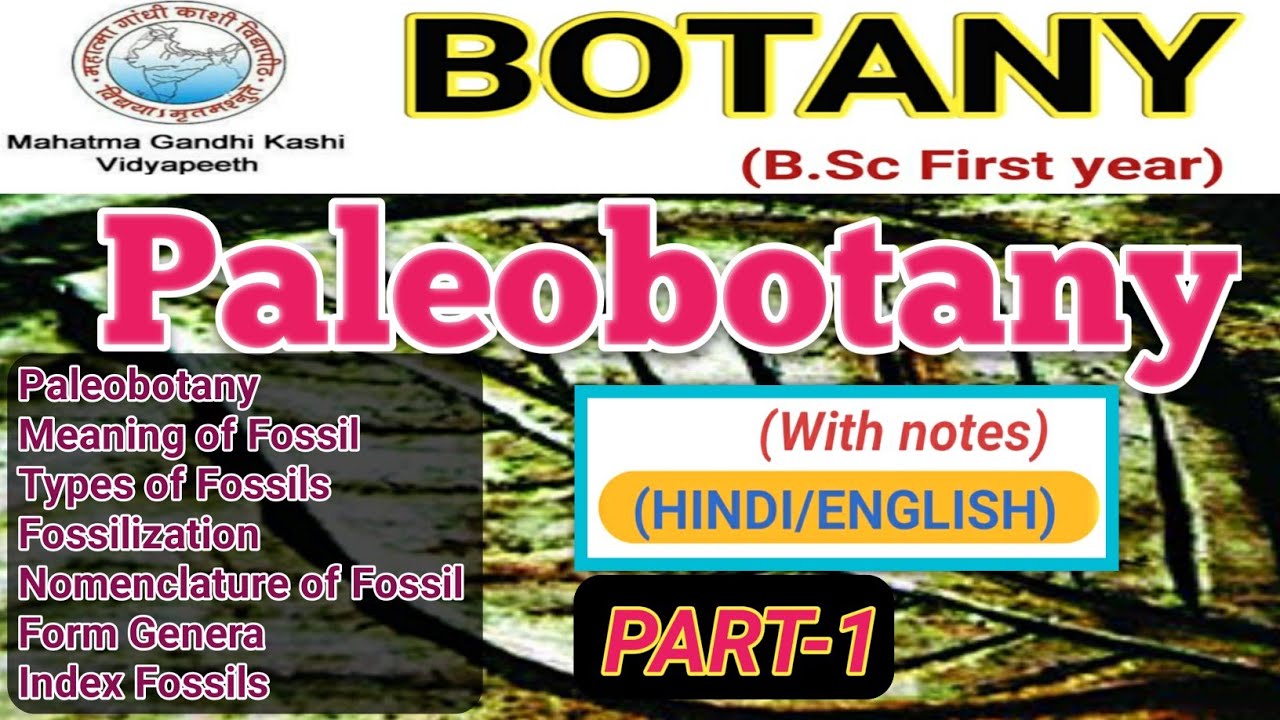 Paleobotany/Palaeobotany/Fossil/Types of Fossils