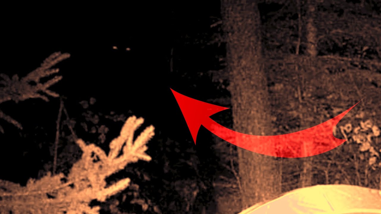 IS THIS THE MOST AUTHENTIC BIGFOOT TRAIL CAM FOOTAGE EVER???