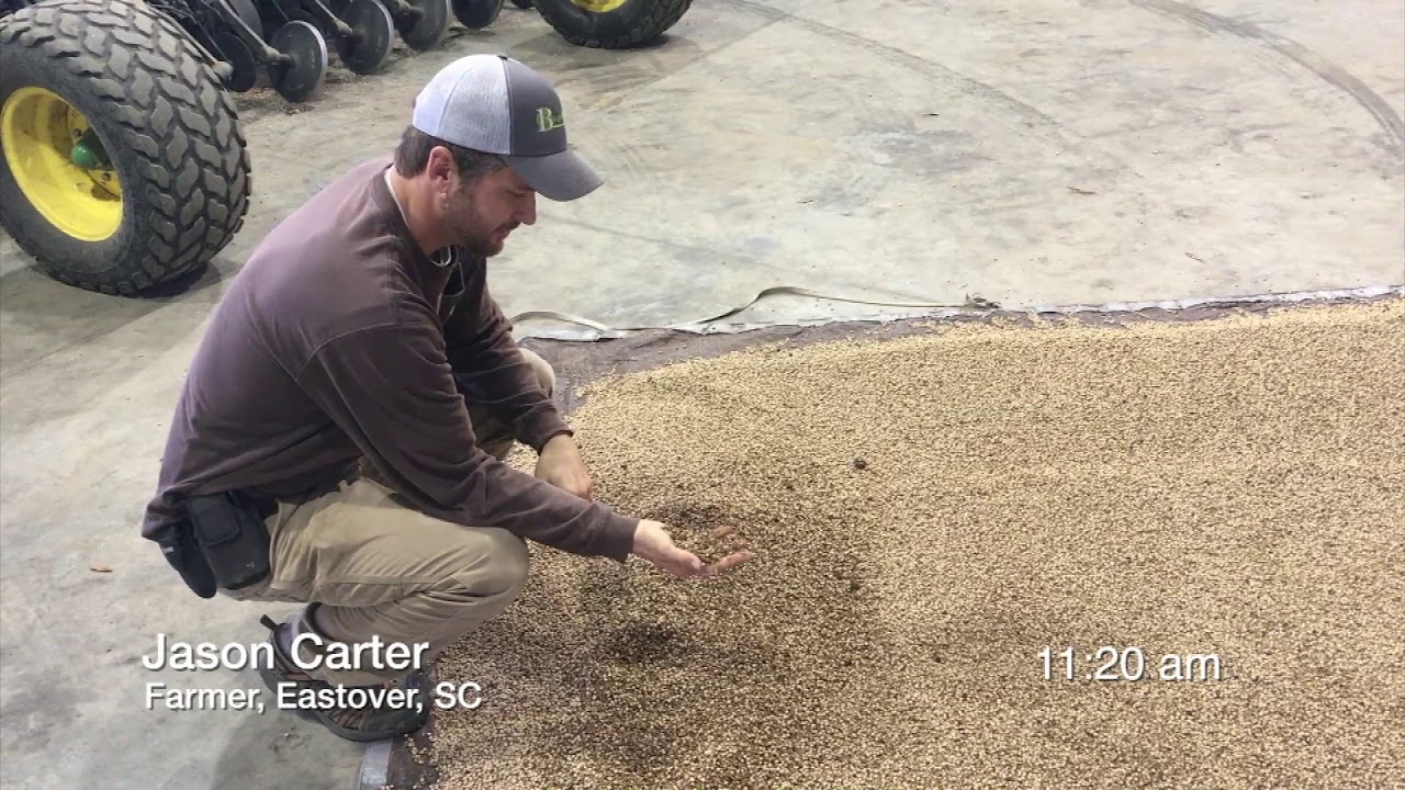 Using Johnson Su to Coat Cover Crop Seeds and Planting 6 ac with Grain Drill