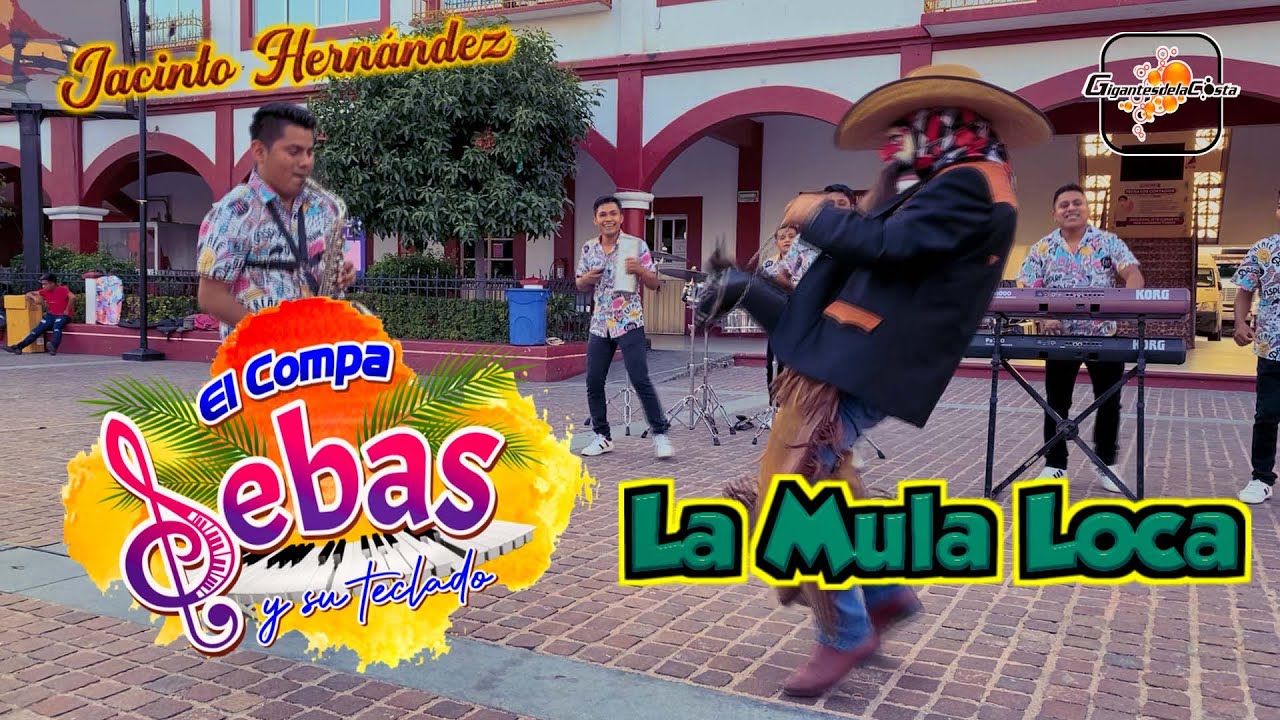 La Mula Loca ( Video Oficial ) - El Compa Sebas Y Su Teclado ( Gigantes De La Costa )