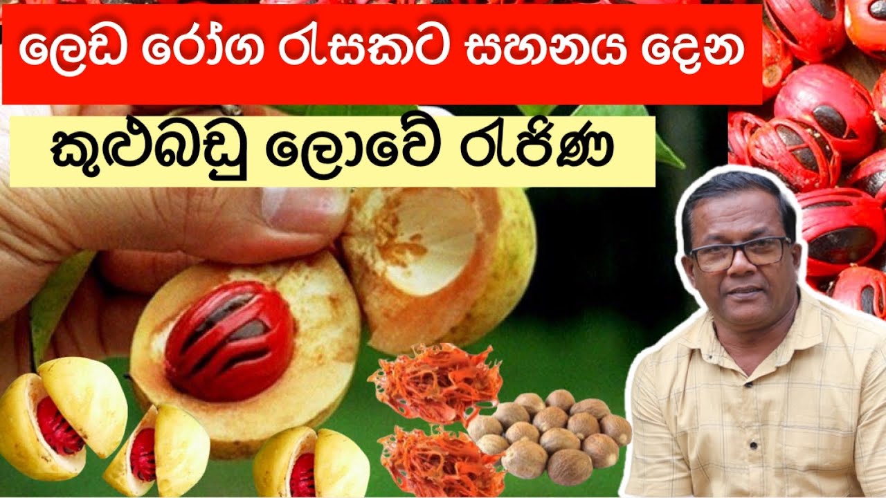 අධික මිලකට විකිනෙන, ආතරයිටීස් වේදනාවට සුව දෙන කුළුබඩුව | Sadikka Wagawa #Ceylon Agri | Episode 223