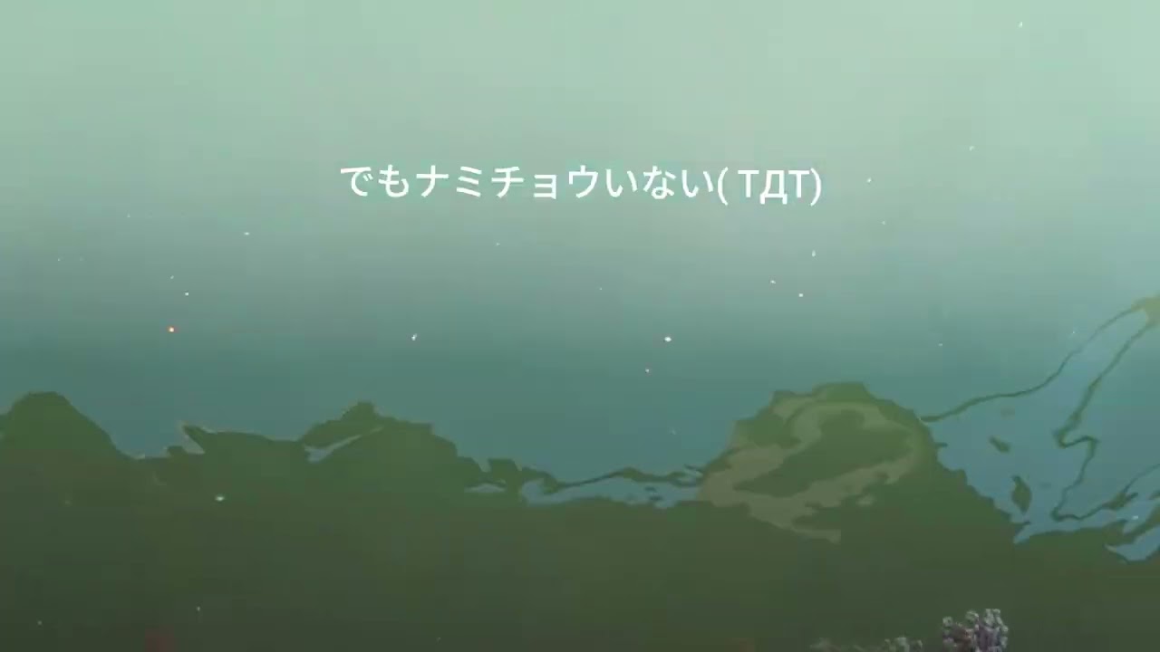 ナミチョウ採集頑張ってきたやで