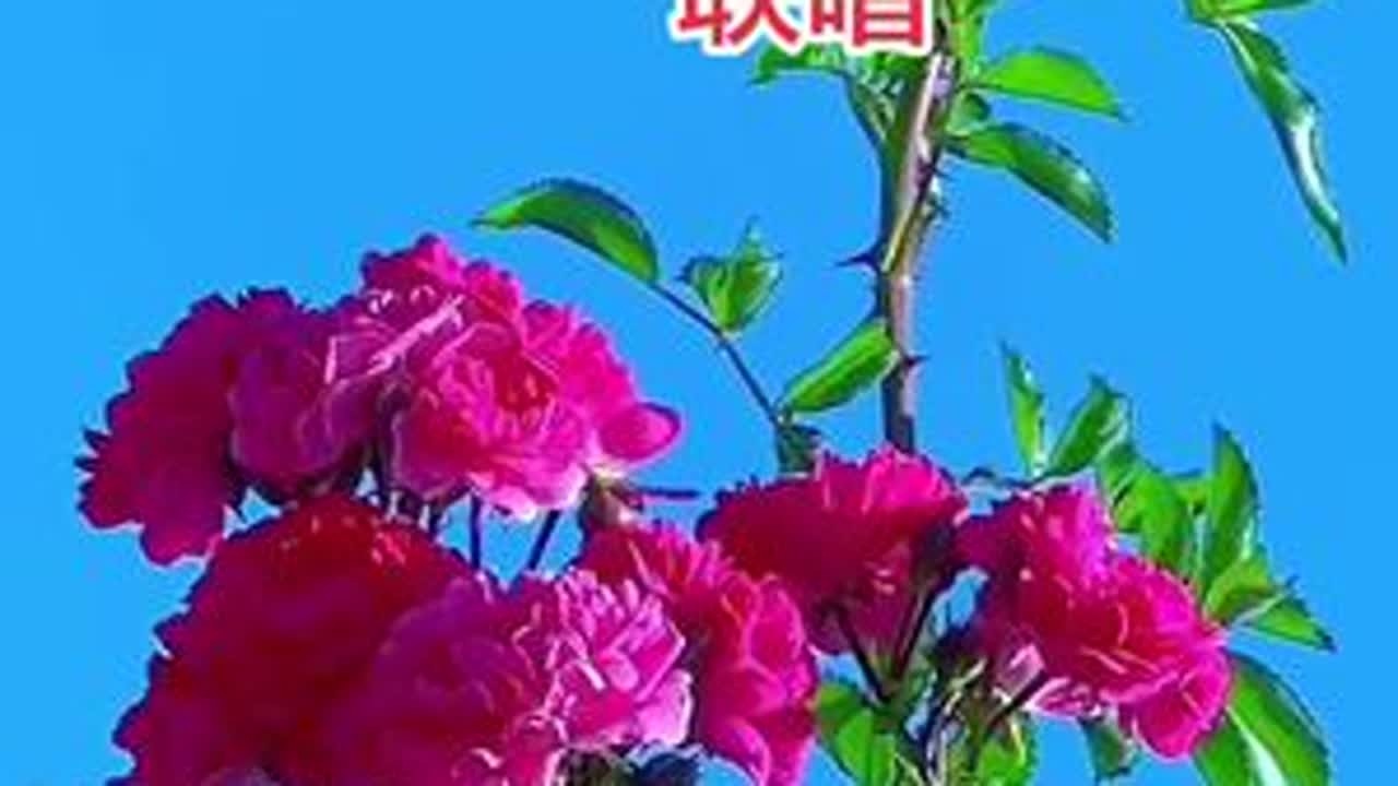 #享受大自然