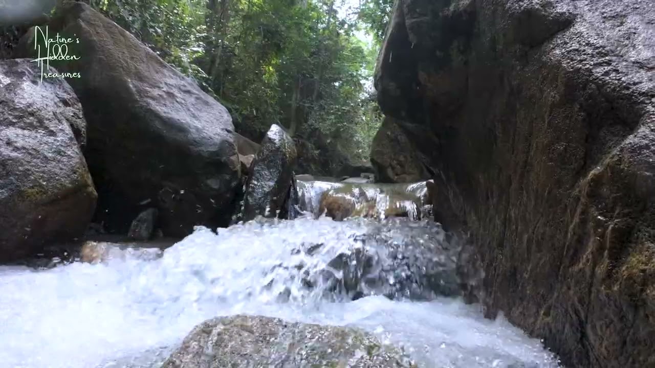Gunung Pulai River Stream Ambience (5 Hours) | Soothing Water Sounds for Sleep & Relaxation
