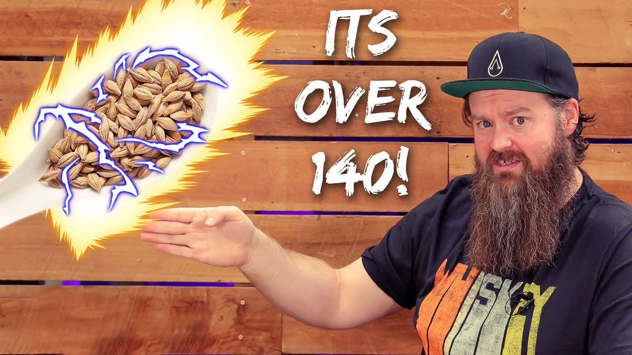 Why You Need To Understand Diastatic Power For All Grain