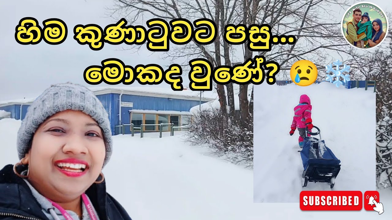 හිම කුණාටුවට පසු… මොනවද වුණේ ? කුණාටුව ගියත් බලපෑම තවමත් එහෙමයි… 😔❄️