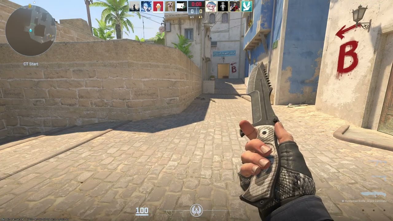 Black Laminate Huntsman and Broken Fang Unhinged Knife/Glove Combo